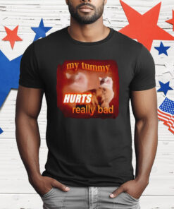 My Tummy Hurts Really Bad Cat T-Shirt