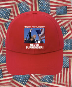 Trump Fight Never Surrender Hat