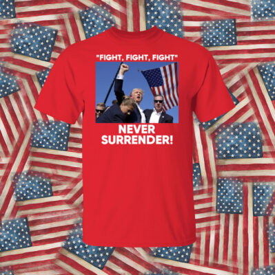 Trump Fight Never Surrender Hat