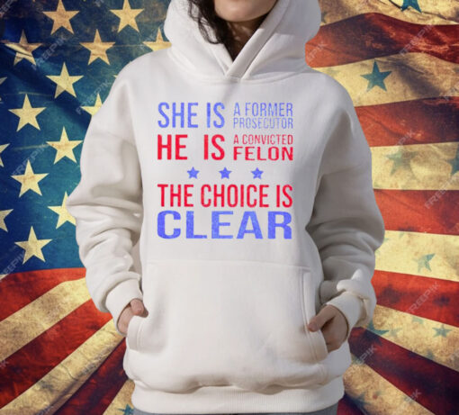 She Is A Former Prosecutor The Choice Is Clear T-Shirt