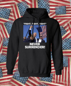 Trump Fight Never Surrender Hat