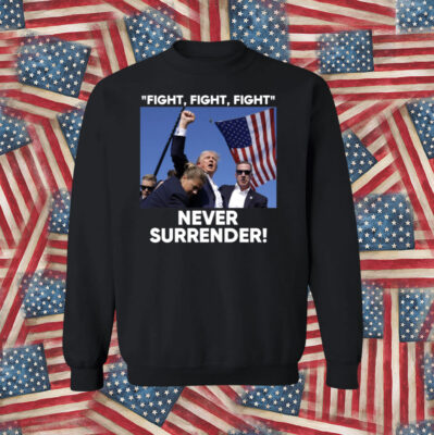 Trump Fight Never Surrender Hat