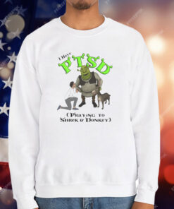 I Have PTSD Praying To Shrek And Donkey T-Shirt