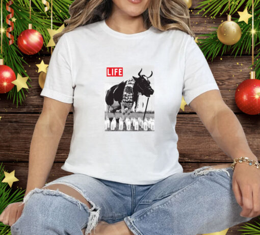 Cow Tee Shirt