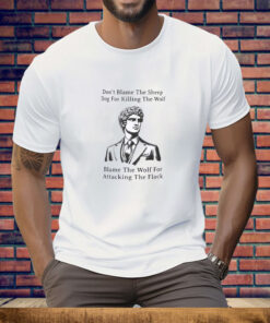 Daniel Penny American Hero Don't Blame The Sheep Tee Shirt