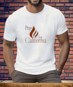 Los Angeles Fire Recovery Tee Shirt