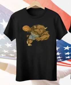 Nba Finals 2025 Champions Oklahoma City Thunder Bison Tee Shirt