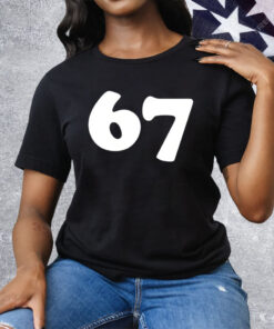 Aritzia 67 Tee Shirt