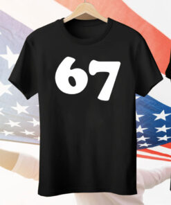 Aritzia 67 Tee Shirt