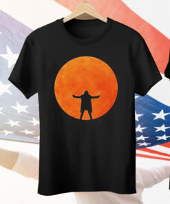 David Gilmour Luck And Strange In Tee Shirt