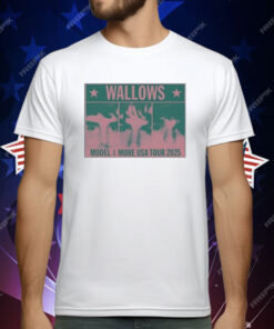 Wallows Model And More USA Tour 2025 Colorblock Faces T-Shirt