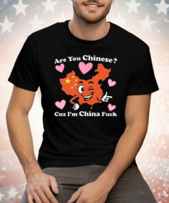 Are you Chinese Cuz I’m China Fuck Tee Shirt